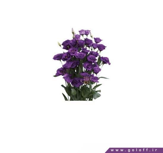 دسته گل تولد - دسته گل لیسیانتوس رزیتا دیپ بلو - Lisianthus | گل آف